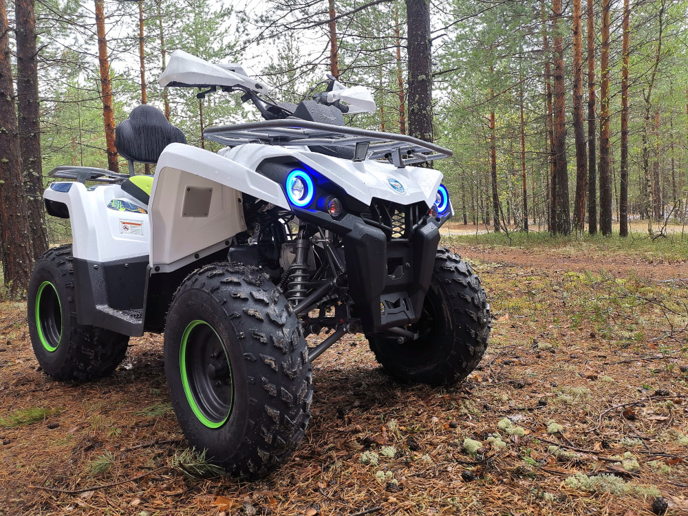 Квадроцикл PROMAX RENEGADE 280 (2025) в Сергиевом Посаде
