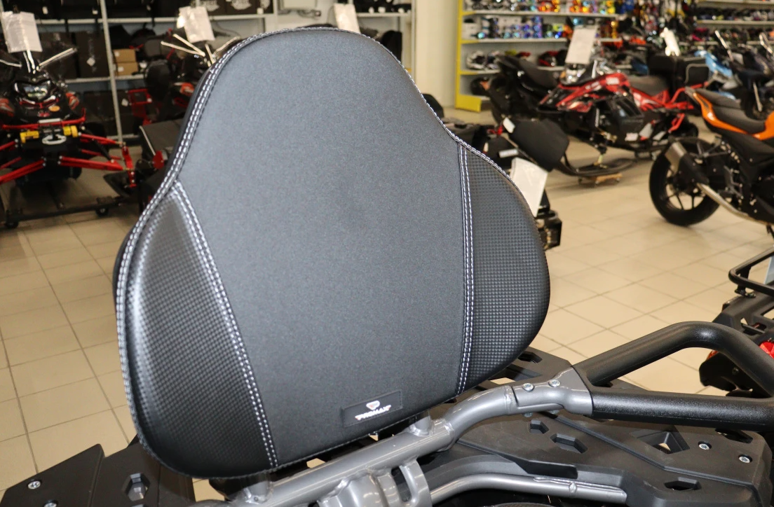 Квадроцикл PROMAX RENEGADE 300 LONG WINCH PRO (2025) в Сергиевом Посаде