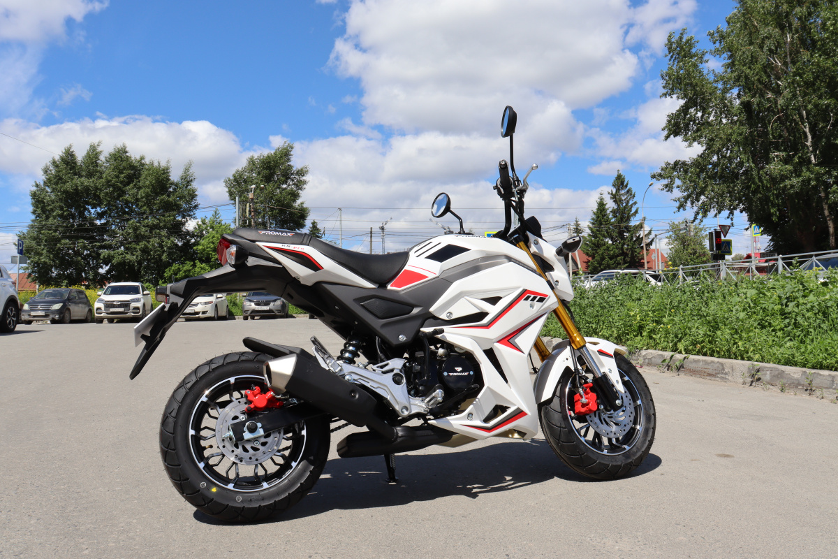 Мотоцикл PROMAX STRYKER 200(49) 2.0 в Сергиевом Посаде