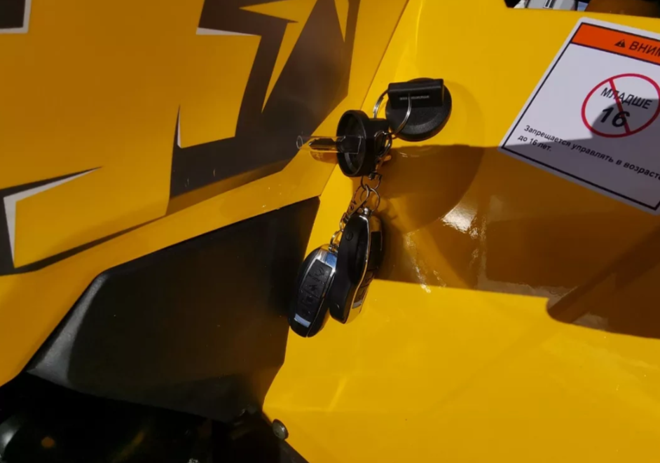 Квадроцикл MOTOLAND (МОТОЛЕНД) VOX200 WILD TRACK X PRO (баланс. вал) в Сергиевом Посаде