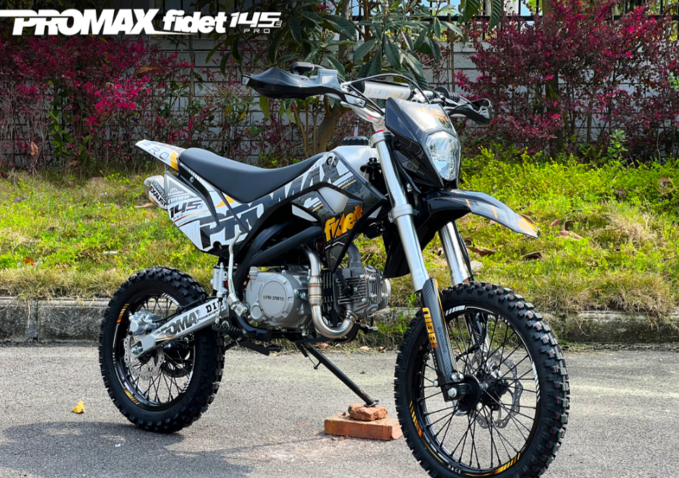 Мотоцикл (питбайк) PROMAX FIDET (ФАЙДЕТ) 145E PRO 17/14 в Сергиевом Посаде