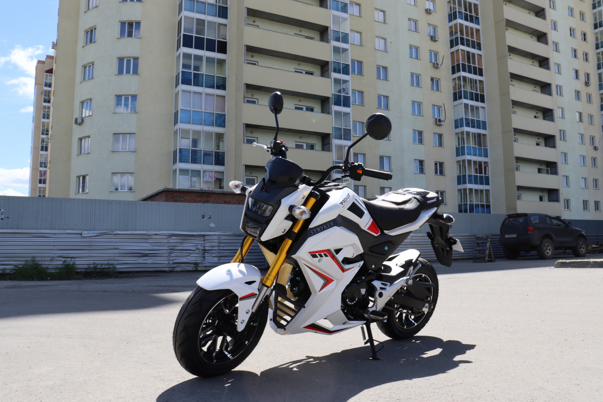 Мотоцикл PROMAX STRYKER 200(49) 2.0 в Сергиевом Посаде
