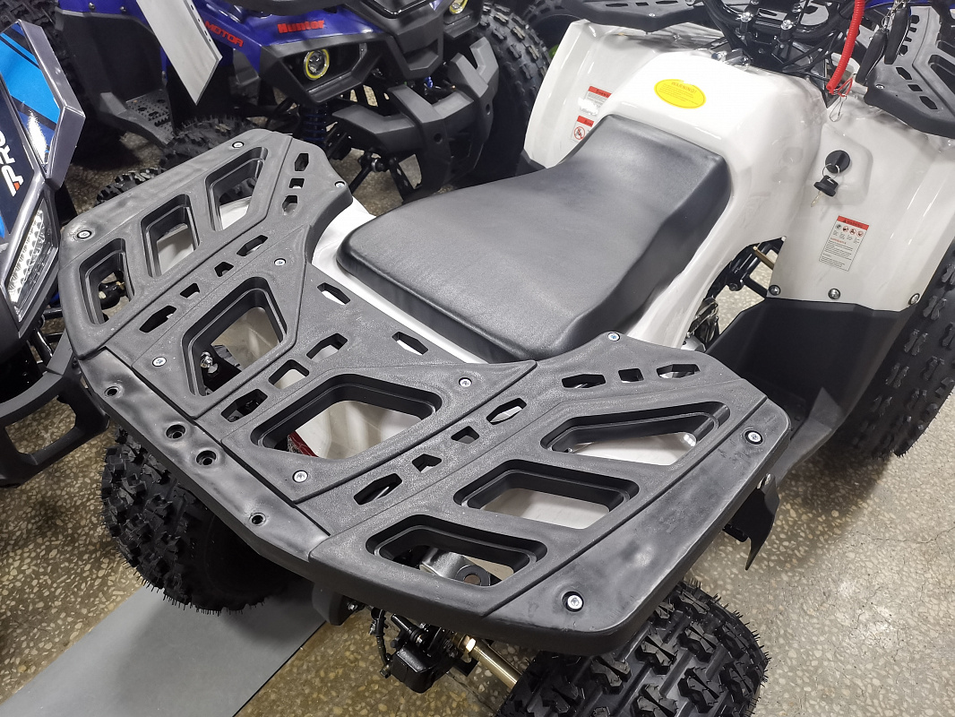 Квадроцикл PROMAX WILD 175 LUX в Сергиевом Посаде