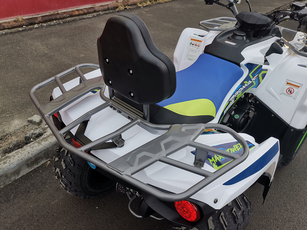 Квадроцикл PROMAX RENEGADE 280 LUX (2025) в Сергиевом Посаде