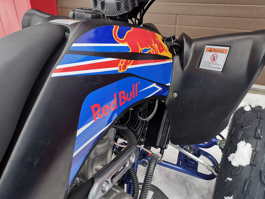 Квадроцикл PROMAX RAPTOR 300 NEW RedBull в Сергиевом Посаде