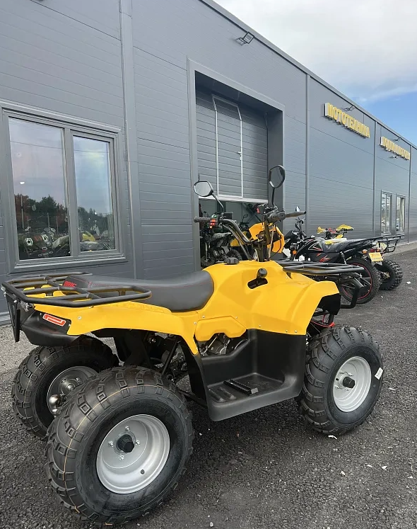 КВАДРОЦИКЛ IRBIS ATV 250  в Сергиевом Посаде