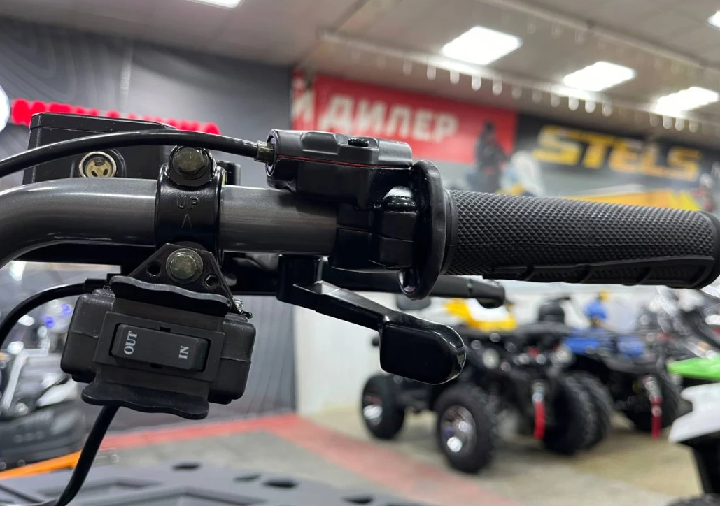 Квадроцикл PROMAX RENEGADE 300 LONG WINCH PRO (2025) в Сергиевом Посаде