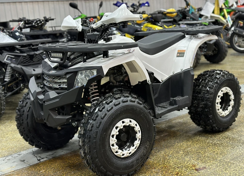 Квадроцикл PROMAX WILD 2.0 190 в Сергиевом Посаде