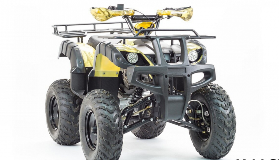 Квадроцикл MOTOLAND (МОТОЛЕНД) 250 ADVENTURE в Сергиевом Посаде