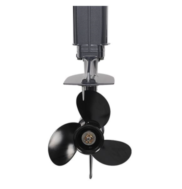 Лодочный мотор ALLFA CG Т40FW S в Сергиевом Посаде