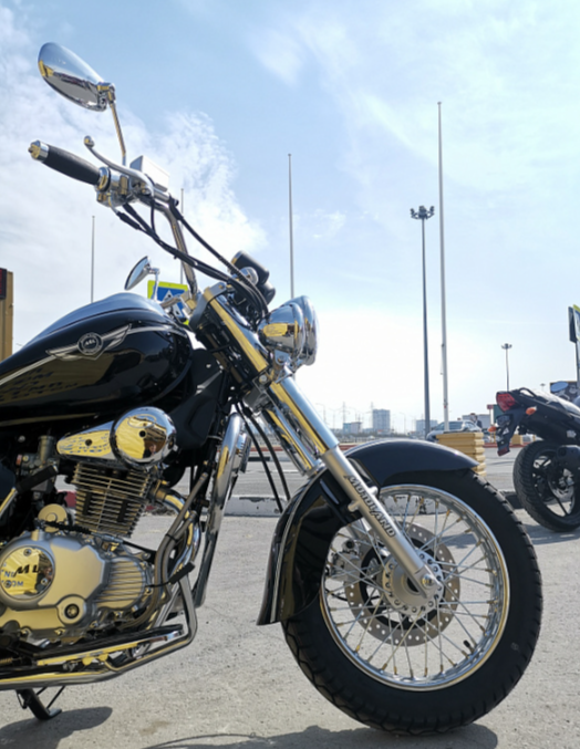 Мотоцикл MOTOLAND (МОТОЛЕНД) WOLF 250 в Сергиевом Посаде