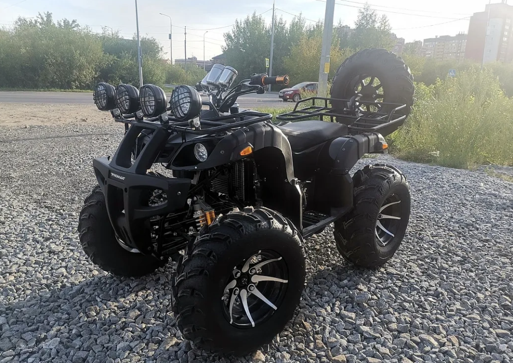 Квадроцикл PROMAX LEO 300 Max (кардан) в Сергиевом Посаде
