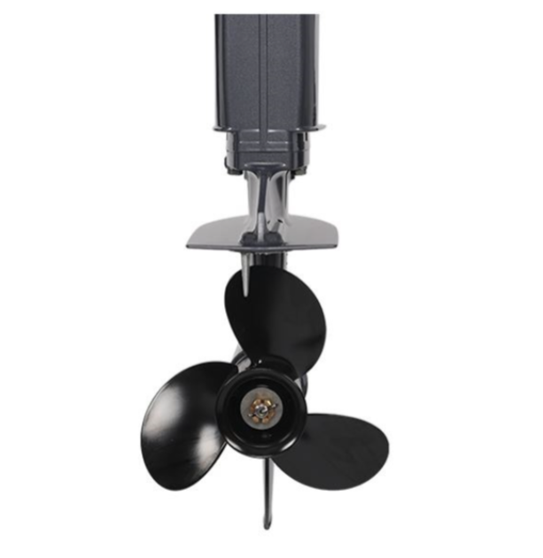 Лодочный мотор ALLFA CG Т40FWT S в Сергиевом Посаде