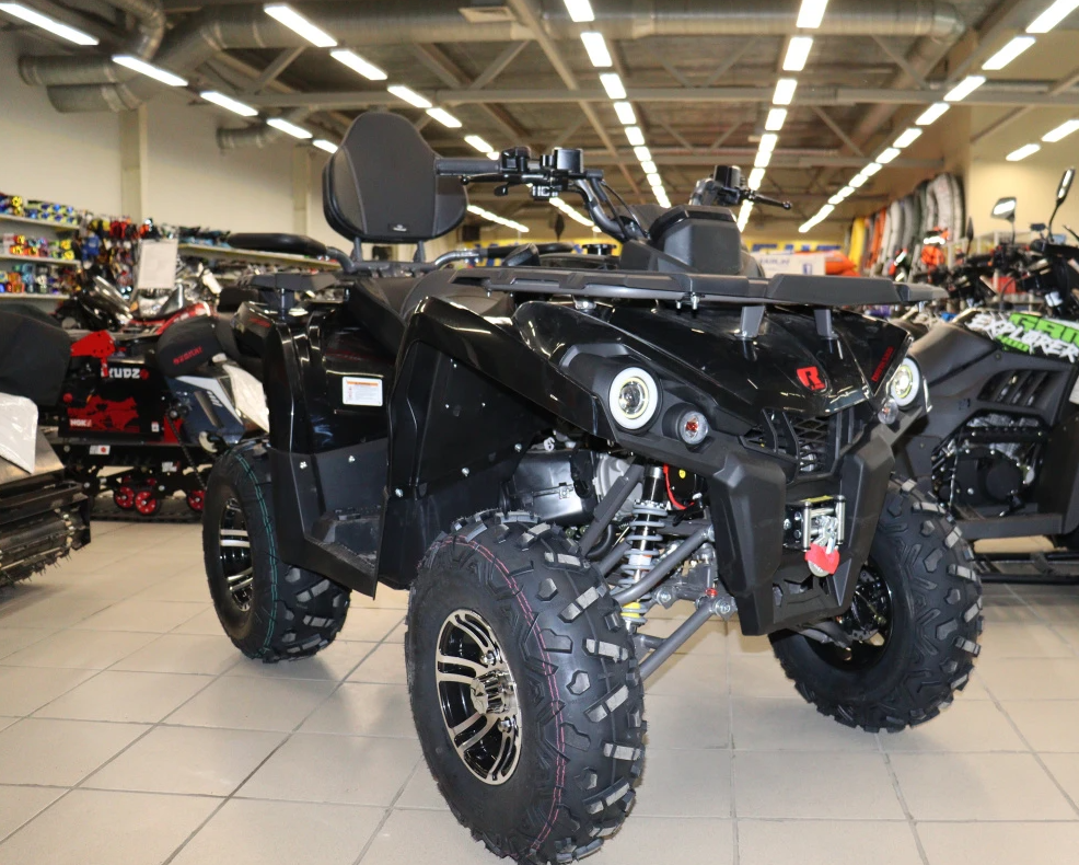 Квадроцикл PROMAX RENEGADE 300 LONG WINCH PRO (2025) в Сергиевом Посаде