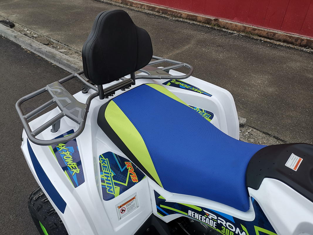 Квадроцикл PROMAX RENEGADE 280 LUX (2025) в Сергиевом Посаде