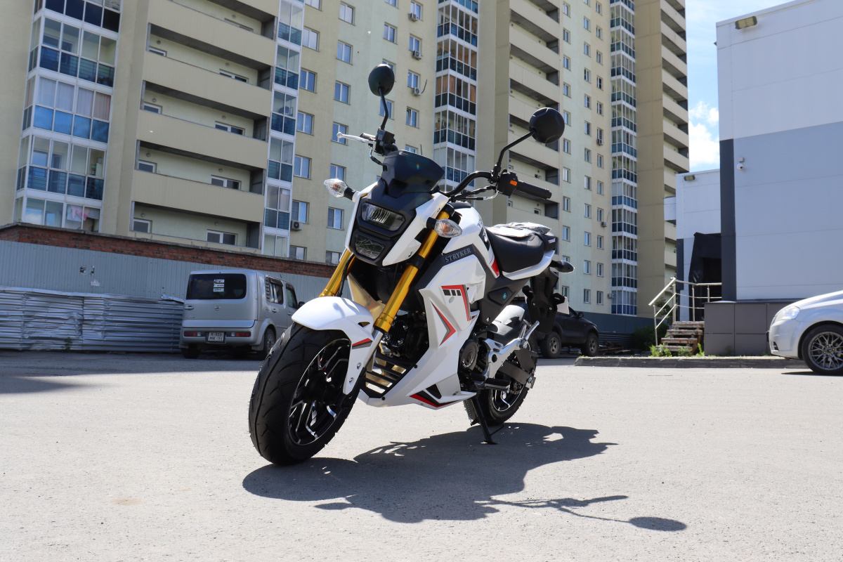 Мотоцикл PROMAX STRYKER 200(49) 2.0 в Сергиевом Посаде
