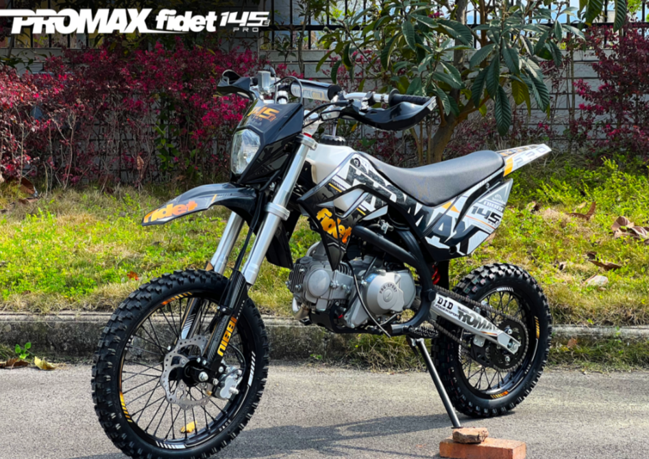 Мотоцикл (питбайк) PROMAX FIDET (ФАЙДЕТ) 145E PRO 17/14 в Сергиевом Посаде