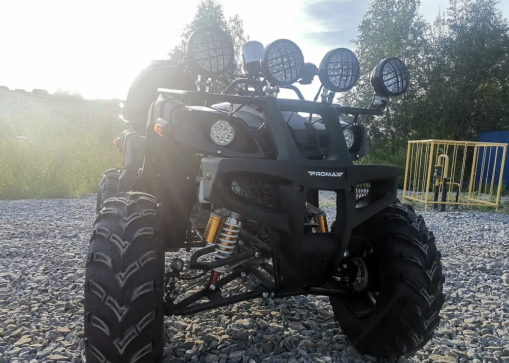 Квадроцикл PROMAX LEO 300 Max (кардан) в Сергиевом Посаде