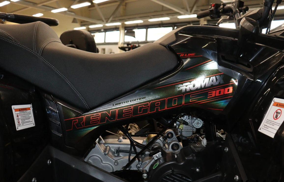 Квадроцикл PROMAX RENEGADE 300 LONG WINCH PRO (2025) в Сергиевом Посаде
