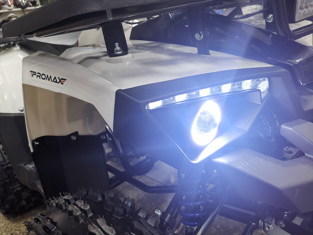 Квадроцикл PROMAX WILD 175 LUX в Сергиевом Посаде