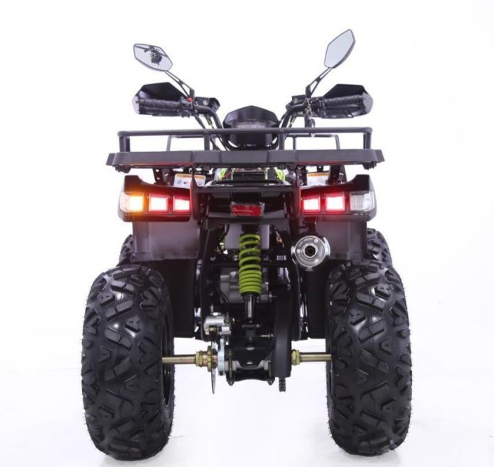 Квадроцикл YACOTA WARRIOR 200 PRO в Сергиевом Посаде