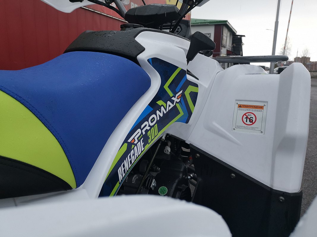 Квадроцикл PROMAX RENEGADE 280 LUX (2025) в Сергиевом Посаде