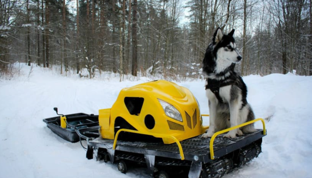 Мотобуксировщик LEBEDEV MOTORS ВОЛКОДАВ POWER V13 в Сергиевом Посаде