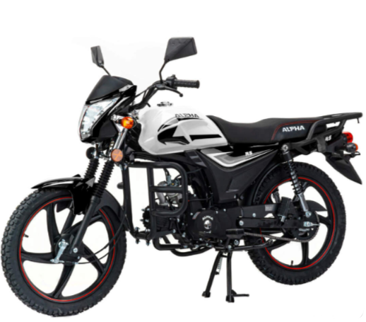 Мопед MOTOLAND (МОТОЛЕНД) Альфа RS 11 (LM48-B) в Сергиевом Посаде