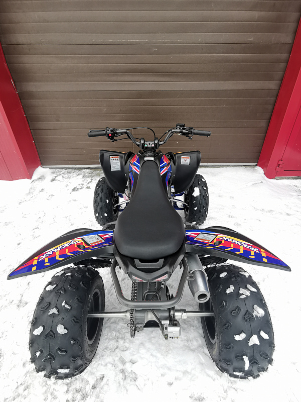 Квадроцикл PROMAX RAPTOR 300 NEW RedBull в Сергиевом Посаде