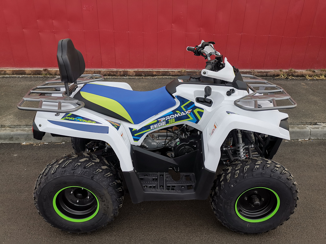 Квадроцикл PROMAX RENEGADE 280 LUX (2025) в Сергиевом Посаде