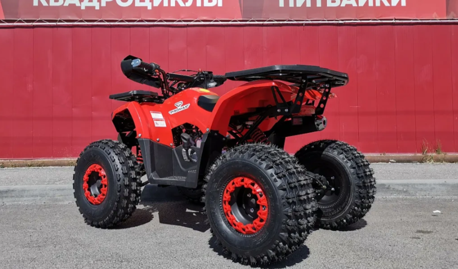 Квадроцикл PROMAX WILD 175 BASIC в Сергиевом Посаде