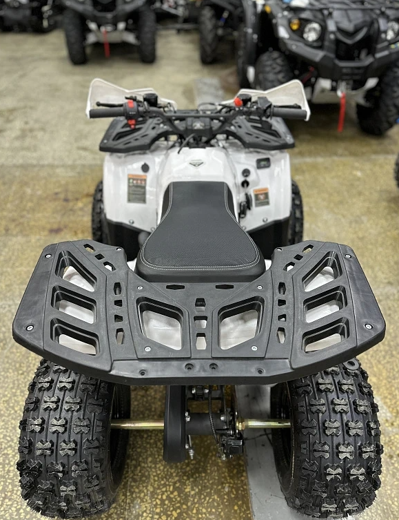 Квадроцикл PROMAX WILD 2.0 190 в Сергиевом Посаде