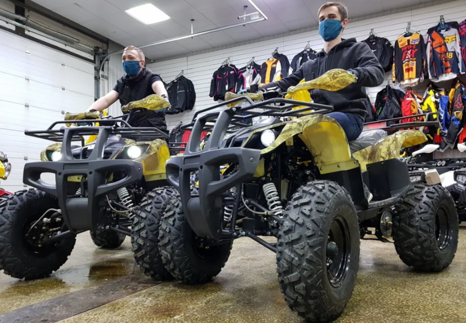 Квадроцикл PROMAX ATV 250 (2025) в Сергиевом Посаде