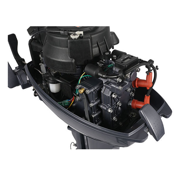 ЛОДОЧНЫЙ МОТОР ALLFA CG Т9,9 в Сергиевом Посаде