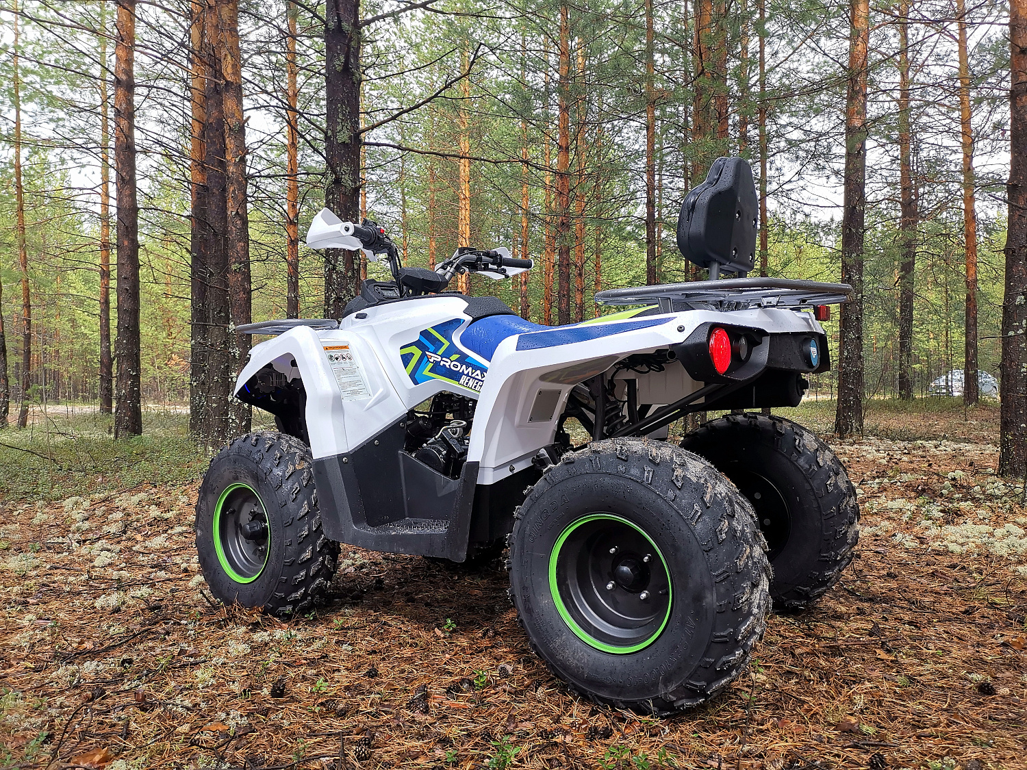 Квадроцикл PROMAX RENEGADE 280 (2025) в Сергиевом Посаде