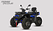 Квадроцикл PROMAX TAURUS 300 MAX-PRO LONG в Сергиевом Посаде