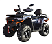 Квадроцикл MOTOLAND (МОТОЛЕНД) 300 MAX X в Сергиевом Посаде