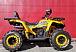 Квадроцикл PROMAX STORM 280 LUX в Сергиевом Посаде