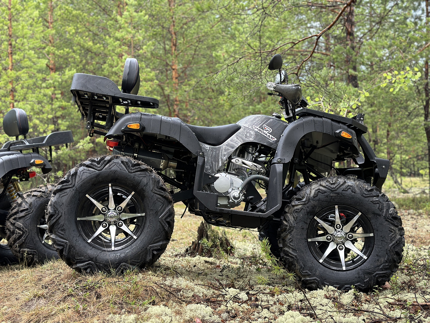 Квадроцикл PROMAX 320 DOMINATOR (2025) в Сергиевом Посаде