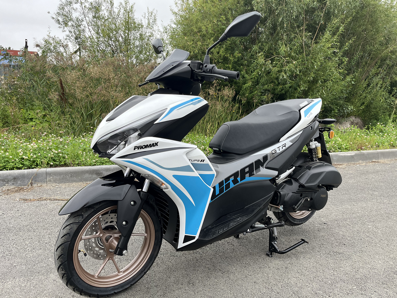 Скутер PROMAX TURAN 250 (49) в Сергиевом Посаде