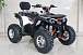Квадроцикл GBM STORMRIDER 320 PREMIUM в Сергиевом Посаде