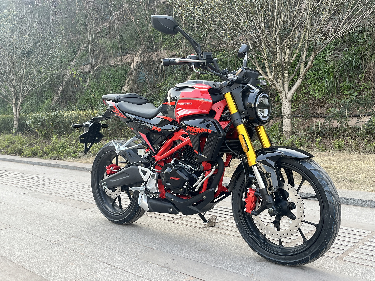 Мотоцикл PROMAX CB300 в Сергиевом Посаде