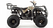 Квадроцикл MOTOLAND (МОТОЛЕНД) 200 ALL ROAD в Сергиевом Посаде