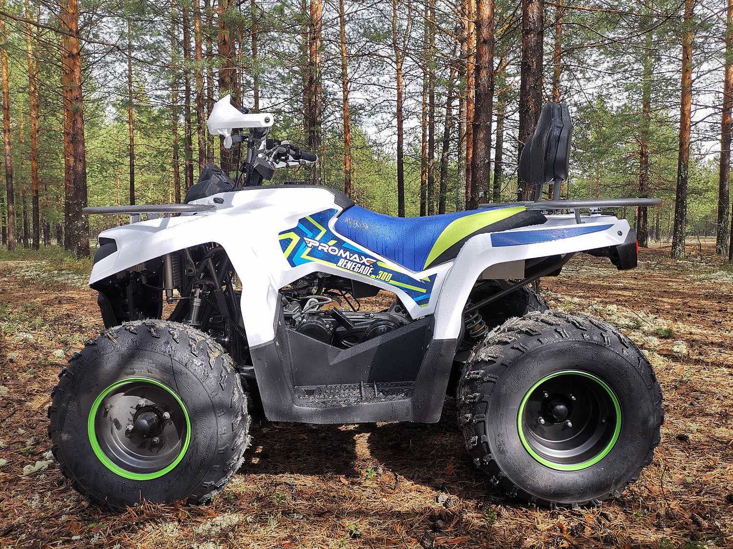 Квадроцикл PROMAX RENEGADE 280 (2025) в Сергиевом Посаде