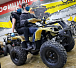 Квадроцикл PROMAX ATV 250 (2025) в Сергиевом Посаде