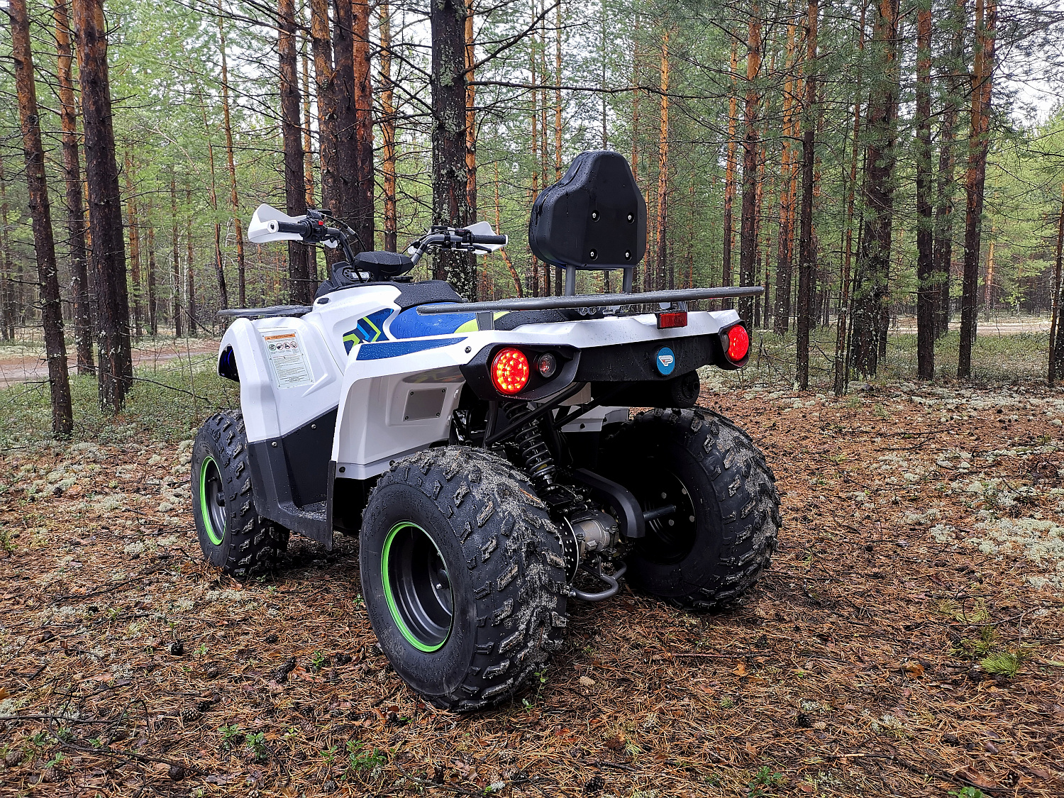 Квадроцикл PROMAX RENEGADE 280 (2025) в Сергиевом Посаде