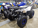 Квадроцикл PROMAX WILD 175 LUX в Сергиевом Посаде