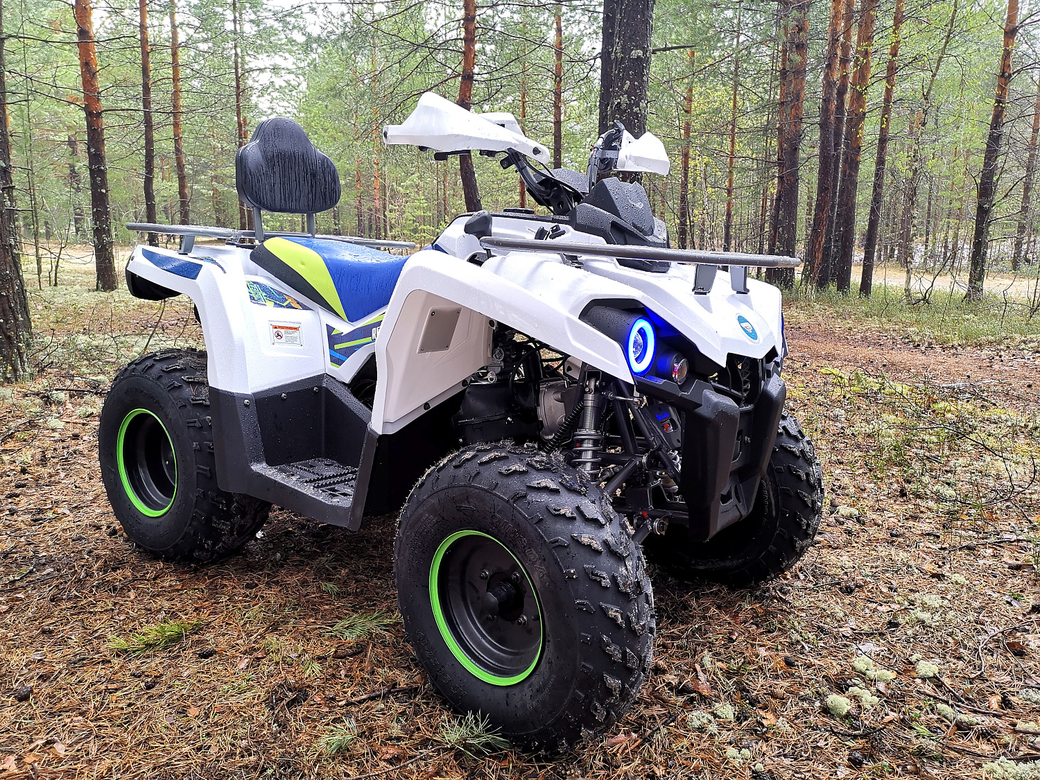 Квадроцикл PROMAX RENEGADE 280 (2025) в Сергиевом Посаде