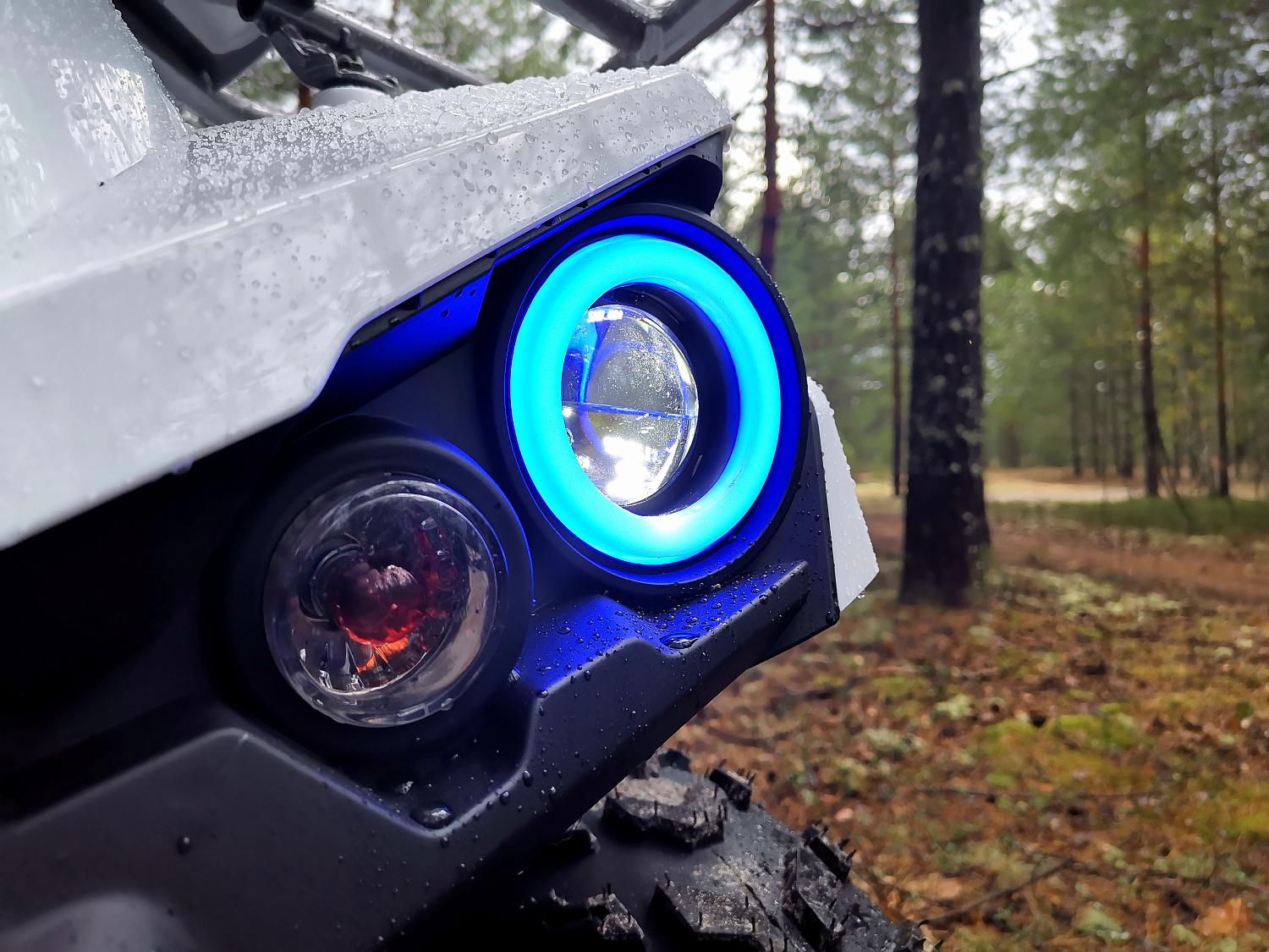 Квадроцикл PROMAX RENEGADE 280 (2025) в Сергиевом Посаде