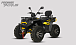 Квадроцикл PROMAX TAURUS 300 MAX-PRO LONG в Сергиевом Посаде